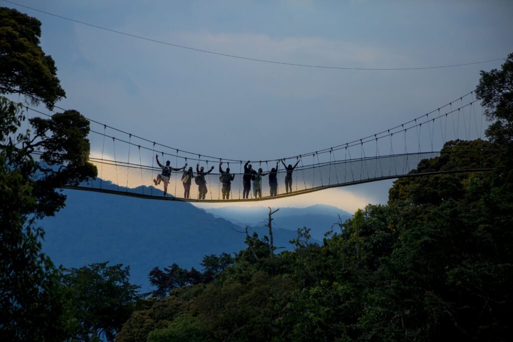 Canopy walkway above the Nyungwe rainforest