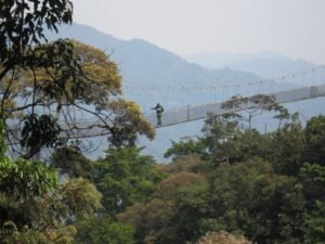 Canopy walkway above the rainforest in Nyungwe National Park