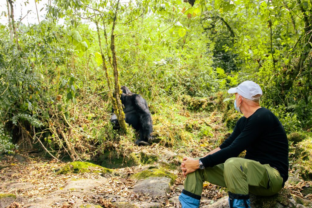 tourist with gorillas